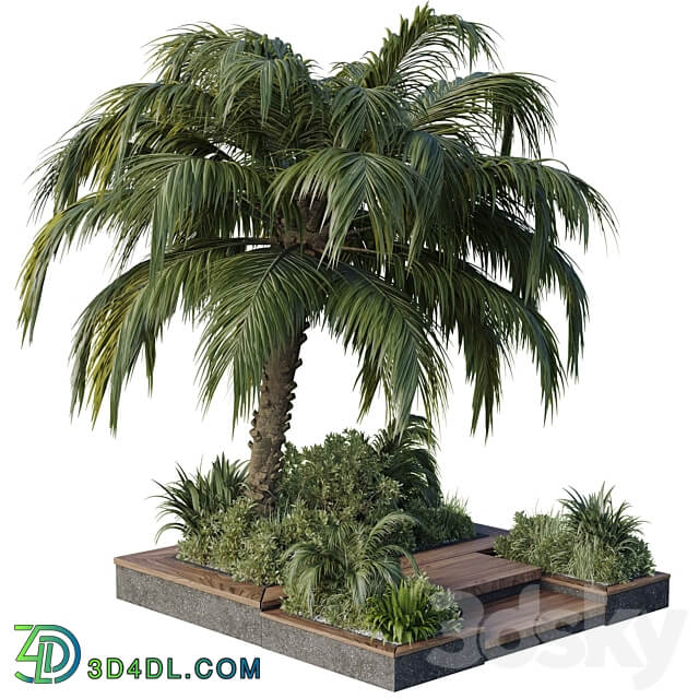 garden pot tree palm bush fern grass concrete base Collection Outdoor plant 102 3D Models