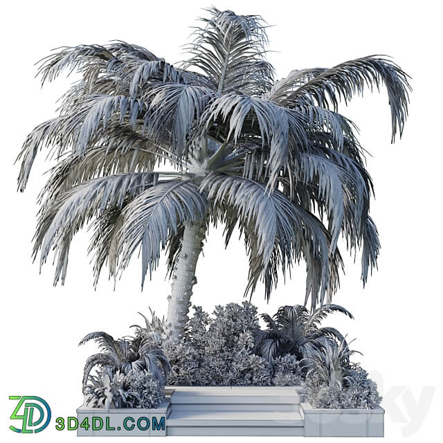 garden pot tree palm bush fern grass concrete base Collection Outdoor plant 102 3D Models