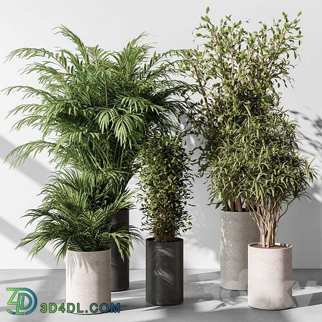 indoor Plant Set 386 Tree and Plant Set in pot 3D Models