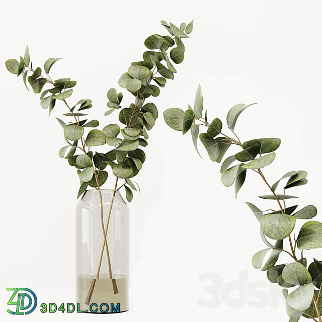 Collaction Indoor Plants 022 3D Models