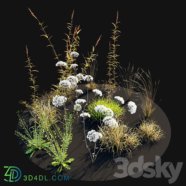 Meadow 10 3D Models