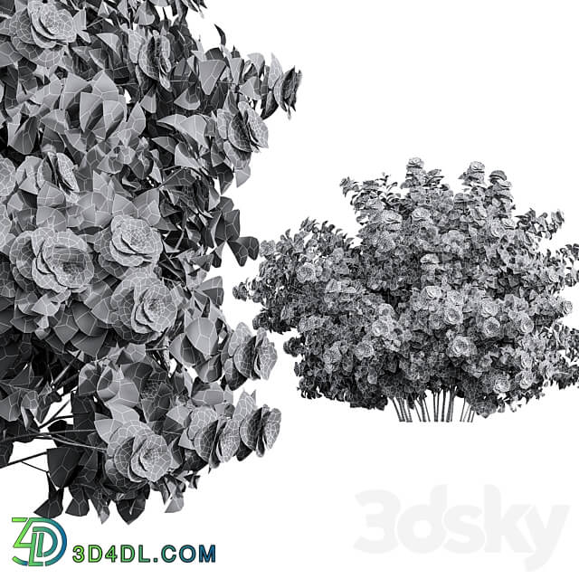 New Plant High detail Climbing Roses 3D Models