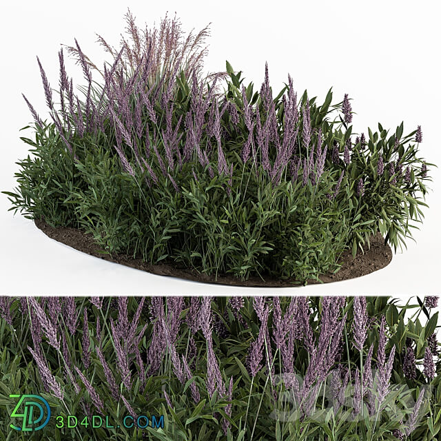 Garden Set Lavender Bush Plants Outdoor Plants Set 413 3D Models