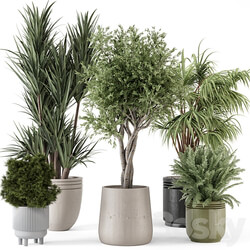 Indoor Plants in Ferm Living Bau Pot Large Set 817 3D Models 