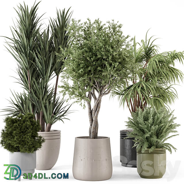 Indoor Plants in Ferm Living Bau Pot Large Set 817 3D Models