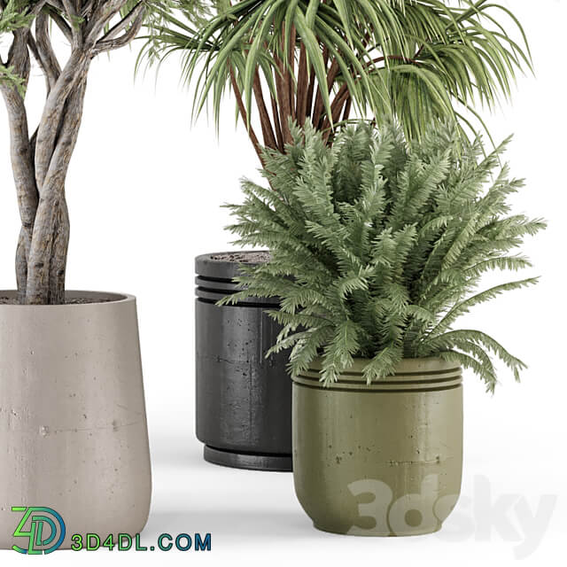 Indoor Plants in Ferm Living Bau Pot Large Set 817 3D Models