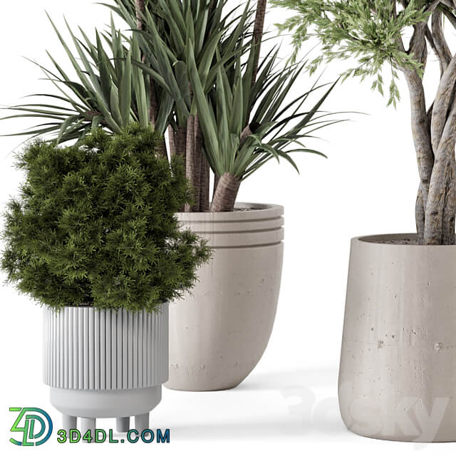 Indoor Plants in Ferm Living Bau Pot Large Set 817 3D Models