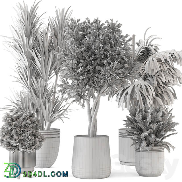 Indoor Plants in Ferm Living Bau Pot Large Set 817 3D Models