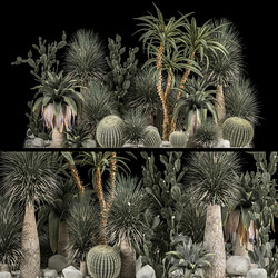 Collection of tropical plants of the desert 1117. cactus yucca prickly pear thickets bushes garden dracaena 3D Models 