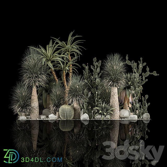 Collection of tropical plants of the desert 1117. cactus yucca prickly pear thickets bushes garden dracaena 3D Models