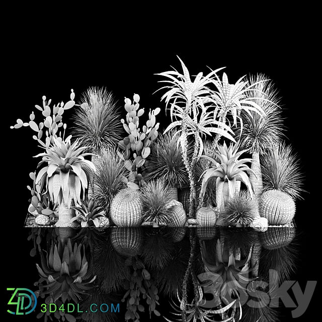 Collection of tropical plants of the desert 1117. cactus yucca prickly pear thickets bushes garden dracaena 3D Models