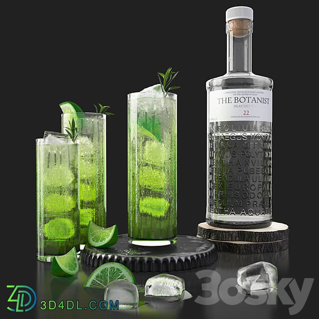 The Botanist gin and mojito with ice 3D Models