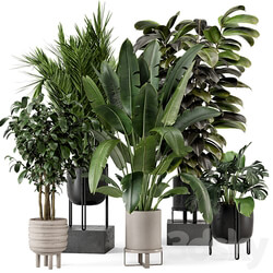 Indoor Plants in Ferm Living Bau Pot Large Set 879 3D Models 