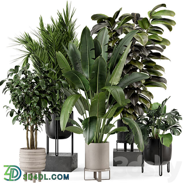 Indoor Plants in Ferm Living Bau Pot Large Set 879 3D Models