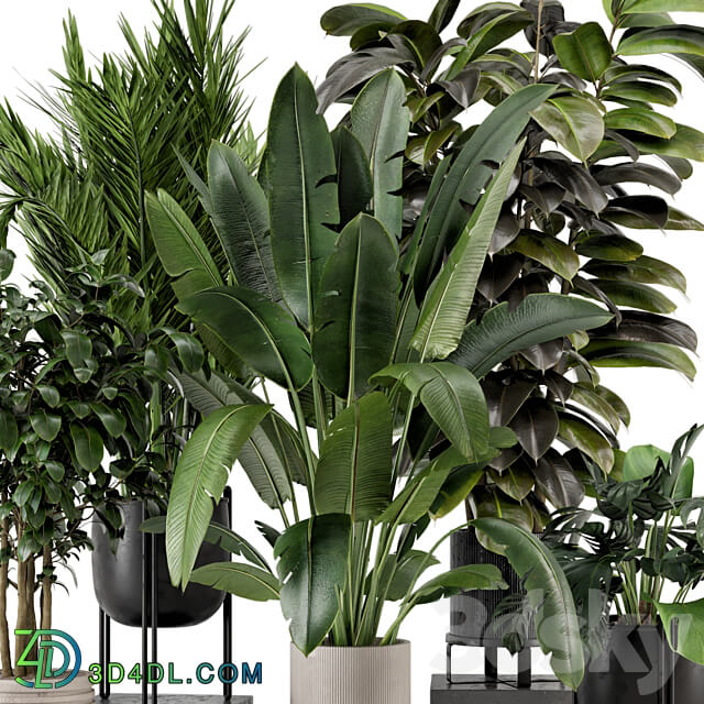 Indoor Plants in Ferm Living Bau Pot Large Set 879 3D Models