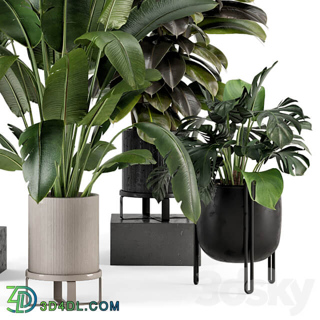 Indoor Plants in Ferm Living Bau Pot Large Set 879 3D Models