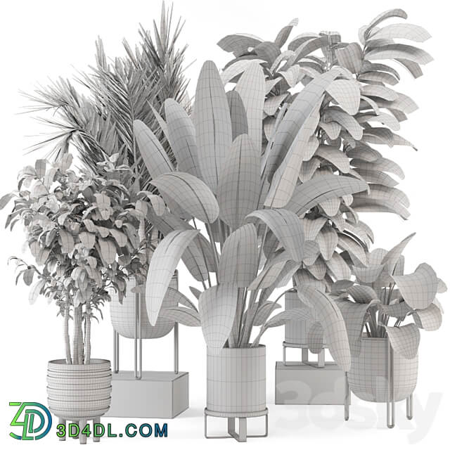 Indoor Plants in Ferm Living Bau Pot Large Set 879 3D Models