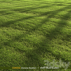 lawn landscape 3D Models 