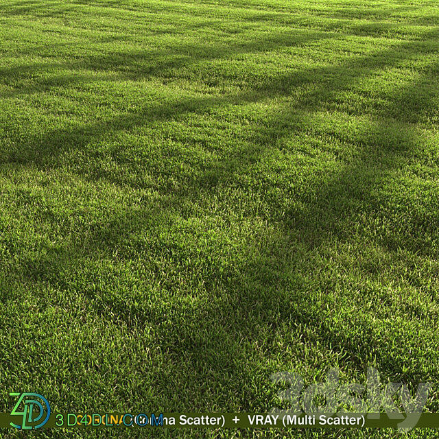 lawn landscape 3D Models