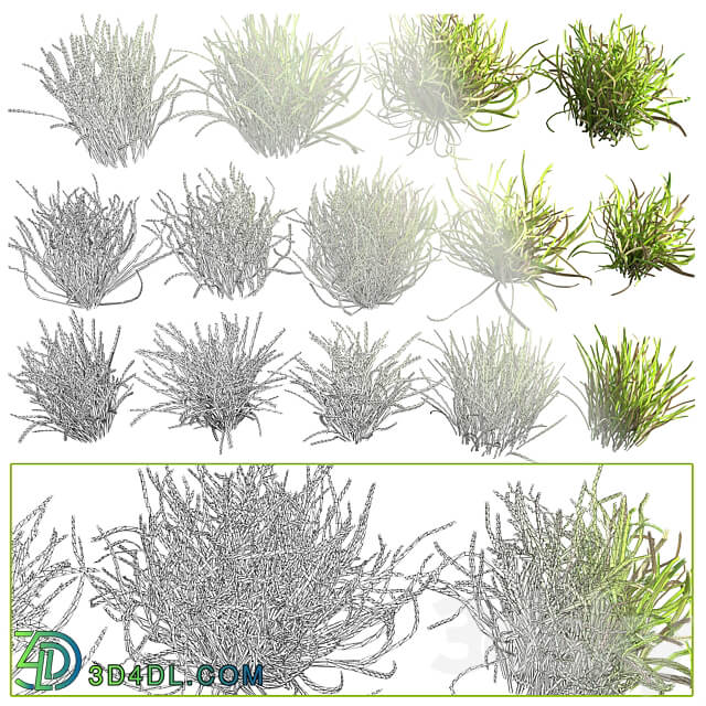 lawn landscape 3D Models