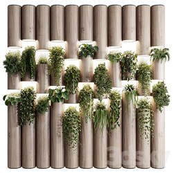 plants set partition in wooden frame Vertical graden wall decor box 30 3D Models 