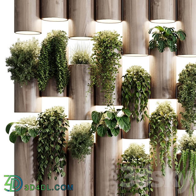 plants set partition in wooden frame Vertical graden wall decor box 30 3D Models