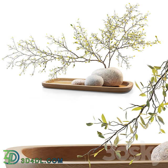 Plum branch in a stone vase 3D Models