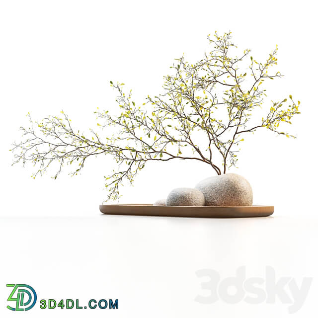 Plum branch in a stone vase 3D Models