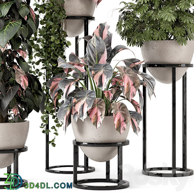 Indoor Plants in rusty Concrete Pot on Metal Shelf Set 964 3D Models