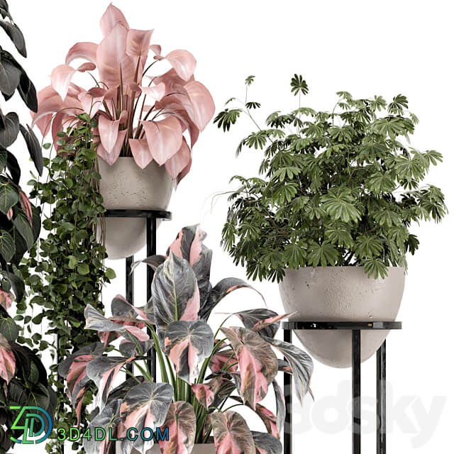 Indoor Plants in rusty Concrete Pot on Metal Shelf Set 964 3D Models