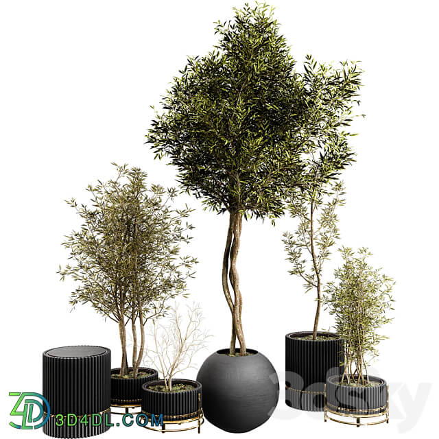 Plant Collection Set 03 3D Models