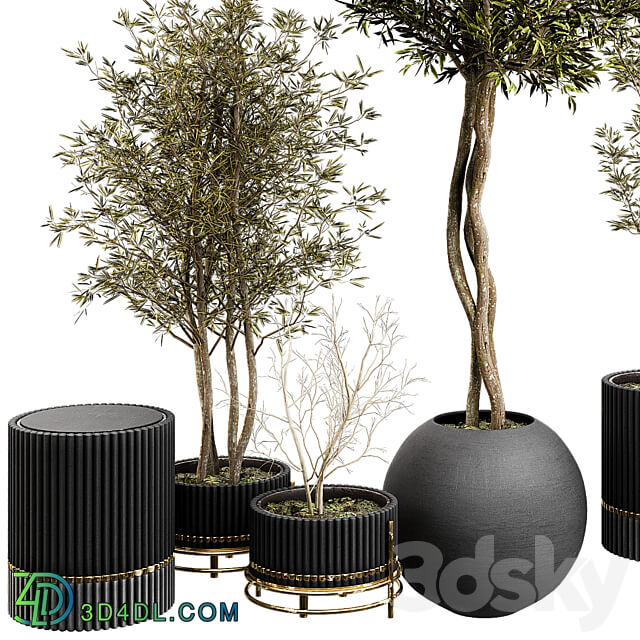 Plant Collection Set 03 3D Models