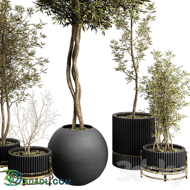 Plant Collection Set 03 3D Models