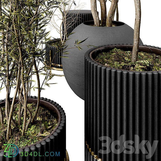 Plant Collection Set 03 3D Models