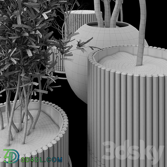 Plant Collection Set 03 3D Models