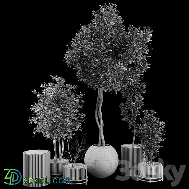 Plant Collection Set 03 3D Models