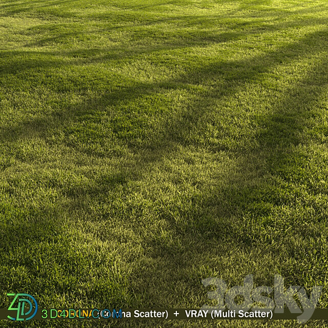 Forest grass 3D Models