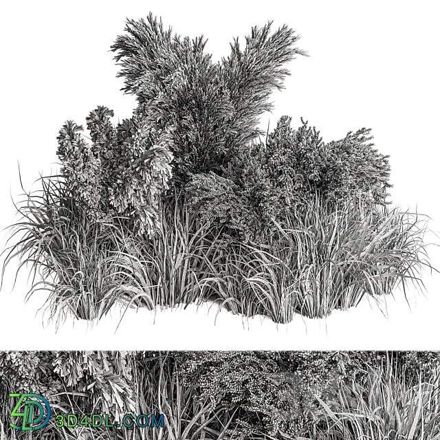 Mixed Pampas Plant Bush Set 95 3D Models