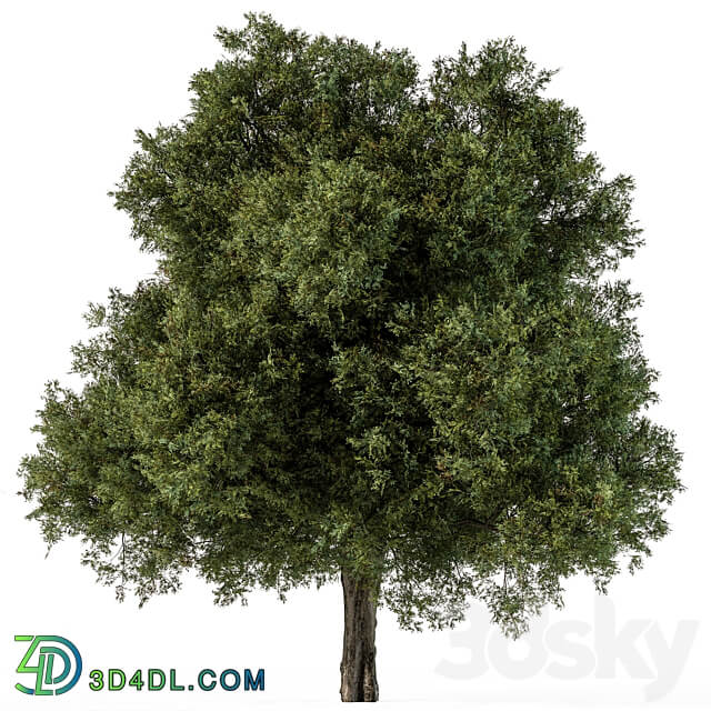 Tree Green Maple Set 99 3D Models