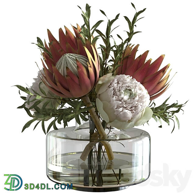Bouquet with peonies and proteas 3D Models