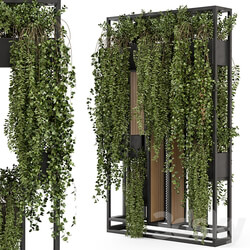 Indoor Hanging Plants in Metal Stand Set 1005 3D Models 