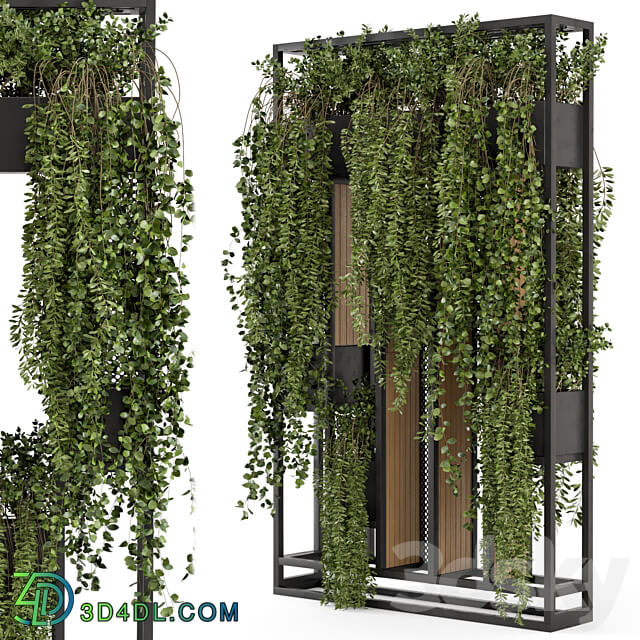 Indoor Hanging Plants in Metal Stand Set 1005 3D Models