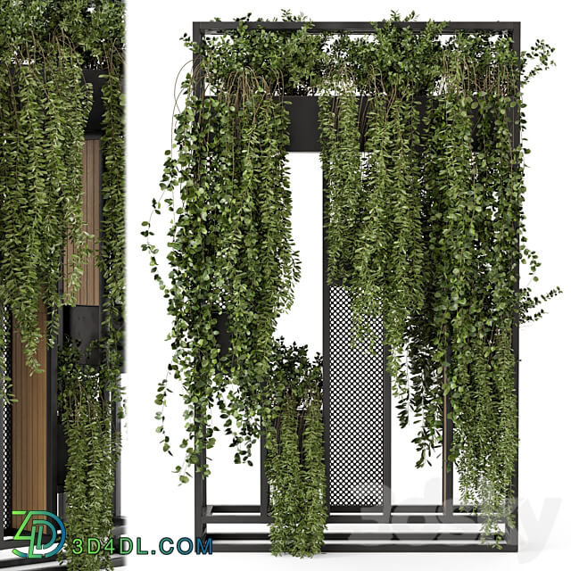 Indoor Hanging Plants in Metal Stand Set 1005 3D Models