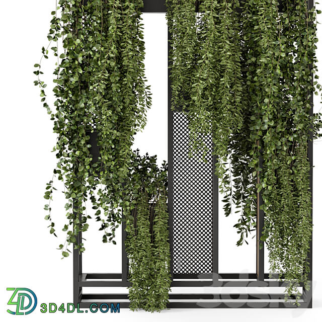 Indoor Hanging Plants in Metal Stand Set 1005 3D Models