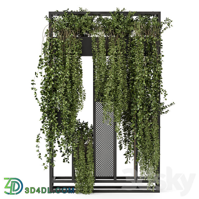 Indoor Hanging Plants in Metal Stand Set 1005 3D Models