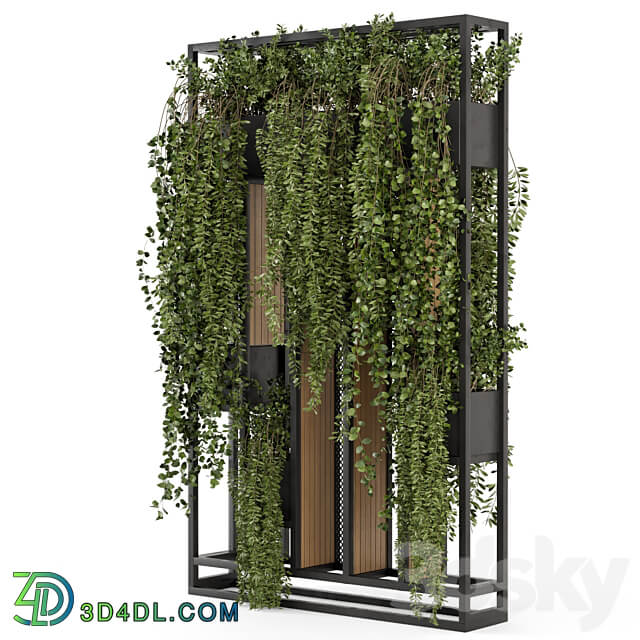 Indoor Hanging Plants in Metal Stand Set 1005 3D Models