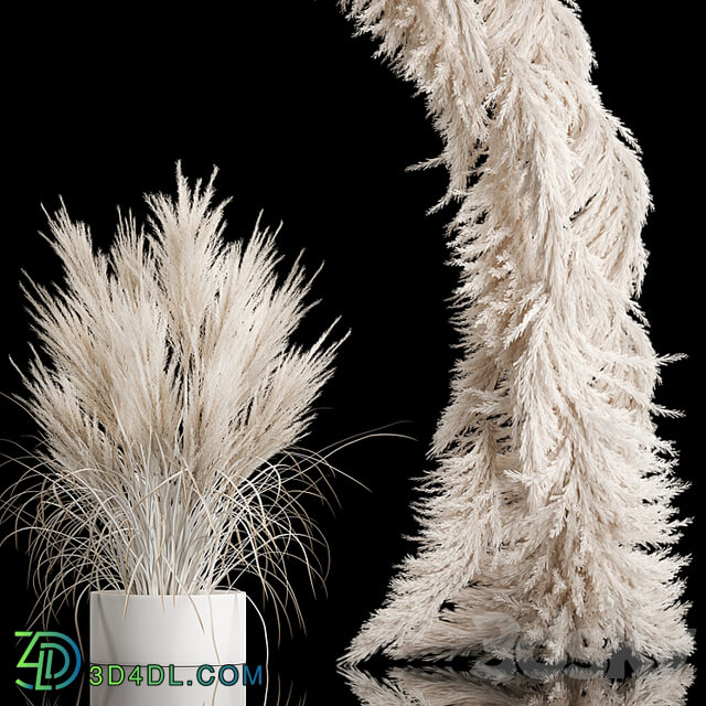 Wedding arch for decoration and decoration of the celebration with a bouquet of white pampas grass and dry reeds with dry palm branches, natural decor