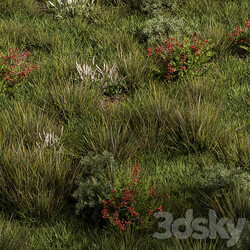Nature Meadow Grass Set 17 3D Models 