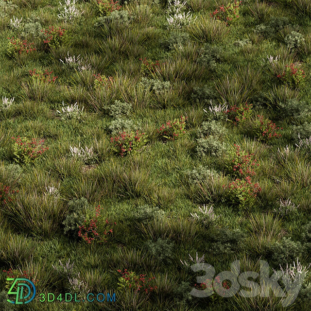 Nature Meadow Grass Set 17 3D Models