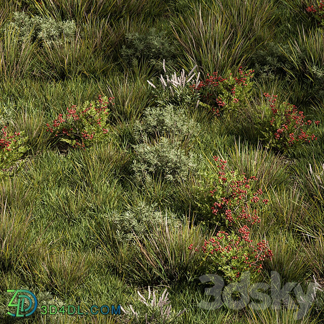 Nature Meadow Grass Set 17 3D Models